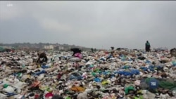 Які загрози звалища пластикового сміття несуть для планети? Відео