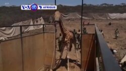 VOA 60 Bambara 04 13 2021