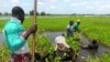 Des jeunes initiés aux métiers de la terre