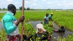 Des jeunes initiés aux métiers de la terre