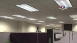 Նախագահ Թրամփը կարգադրել է վերանայել աշխատանքային H1B-ի վիզայի ծրագիրը