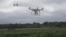 Drone Bantu Petani Hasilkan Tanaman Lebih Sehat