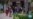16x9 Image