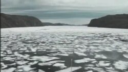 Daljnje smanjenje površine arktičkog leda