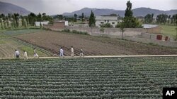 In this May 2011 file photo, Pakistani men walk next to the house where al-Qaida leader Osama bin Laden was caught and killed in Abbottabad, Pakistan. (file photo)