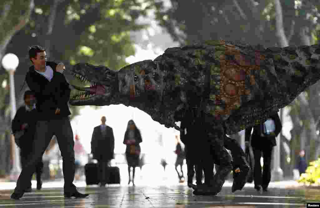 Seorang pria bereaksi ketika seorang pemain yang mengenakan kostum dinosaurus Tyrannosaurus rex berjalan di sampingnya, dalam acara di pusat kota Sydney, Australia.