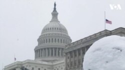 Washington Residents Have Fun in Snow