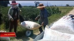 Truyền hình vệ tinh VOA 13/4/2017