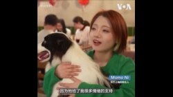 中国宠物商机起飞！毛小孩今年也时兴吃“年夜饭”
