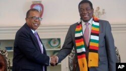 United States Ambassador to Zimbabwe Brian Nichols Meets Zimbabwe's Emmerson Mnangagwa