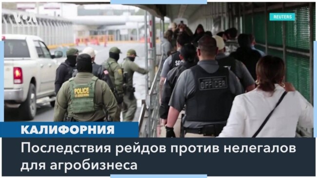 Влияние депортаций нелегальных иммигрантов на сельское хозяйство 