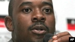 MDC-T official Nelson Chamisa reacts to complaints of "irregularities" and violence during weekend primary elections.