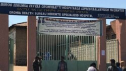 Hospitaalii Naqamtee horii ummatii baaseen haareffamee hujiitti jira