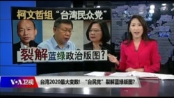 海峡论谈：台湾2020最大变数! “台民党”裂解蓝绿版图?