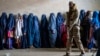 Online Abuse of Afghan Women Tripled After Taliban Takeover