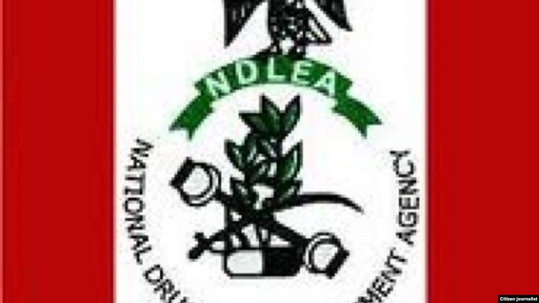 NDLEA