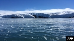 Blocks of ice drift on the water off the coast of Collins glacier on King George Island, Antarctica on February 1, 2018. 