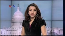 Penelitian Otak Lalat Ungkap Rahasia Otak Manusia