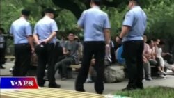 焦点对话：P2P投资者受害，怪政府还是怪自己？