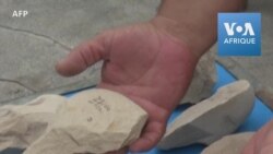 Découverte du plus ancien homme préhistorique d'Afrique du Nord