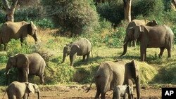 Moçambique: Páscoa não atrai muitos turistas