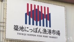 日本宣布恢复商业捕鲸