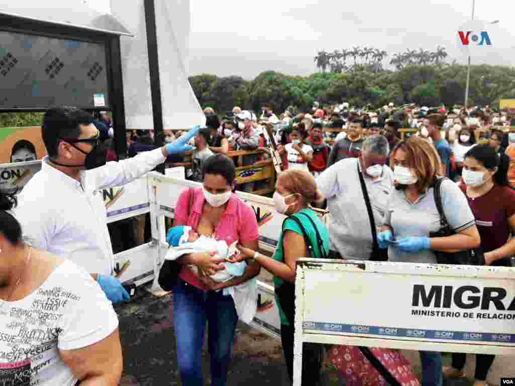 Personal de salud organiza la entrada de migrantes en la frontera entre Colombia y Venezuela.