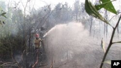 Seorang pemadam kebakaran berupaya memadamkan api kebakaran human di Rumbai Pesisir, provinsi Riau (20/6). Pemerintah Indonesia mengerahkan armada helikopter untuk membantu memadamkan kebakaran hutan dan menciptakan hujan buatan.