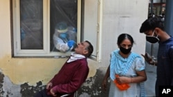 A health worker takes a nasal swab sample to test for COVID-19 in New Delhi, India, Saturday, Sept. 5, 2020. 