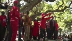 Zimbabwe Opposition Calls on Electoral Body to Deliver Credible Elections
