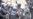 In Algeria, Popular Protests Still Simmer Beneath Surface