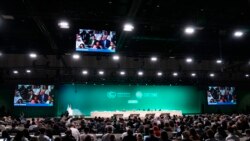 Tras horas de intensos debates, la COP28 cerró un acuerdo histórico para dejar atrás los combustibles fósiles
