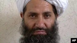 د طالبانو مشرتابه مولوي هېبت الله 