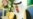 US, Saudi Leaders to Meet Against Backdrop of War, Iran Deal