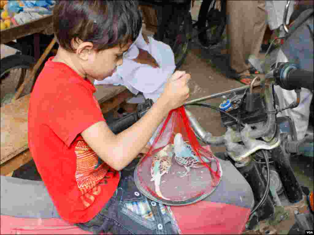 بڑوں کے ساتھ ساتھ بچے بھی پرندوں کی فروخت میں دلچسپی کے باعث مارکیٹ آتے ہیں