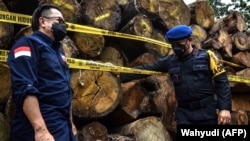 Sistem hukum Indonesia dinilai masih lemah, akibatnya praktik pembalakan kayu hutan di tanah air semakin marak. (Foto: Wahyudi/AFP)