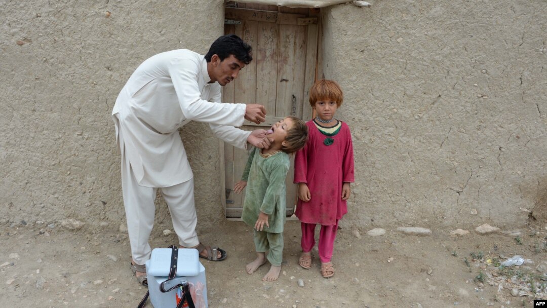  دسرچينو ترمخه دجمرود غونډي نومې سيمه کې وسله والو جنګيالو دپوليو په ډله ډزې کړي چې پکې دپوليو يو کارکوونکى ژوبل شوى او دعلاج لپاره دپېښور حيات اباد ميډيکل کمپليکس ته رسول شوى ؤ خو هغه دزخمونو تاب نه دى راوړى او ساه يې ورکړې ده.