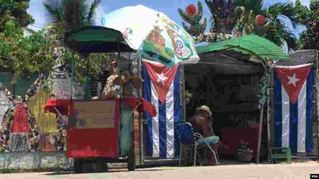 Los cocos naturales son una de las frutas más disfrutadas por los turistas en Cuba, sobre todo ante el enorme calor que generalmente hace en la isla. [Foto: Celia Mendoza, VOA]