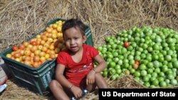 Feed the Future is the U.S. Government's global hunger & food security initiative. (file)