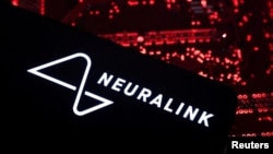 ARCHIVO - Un teléfono inteligente con el logotipo de Neuralink se destaca sobre la placa base de una computadora, en esta ilustración tomada el 15 de mayo de 2024. 