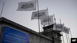 عکس آرشیف