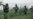 India Alleges 2 Soldiers Killed, Mutilated by Pakistani Forces in Kashmir
