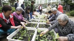 [세상만사 톡톡톡] 실버타운 