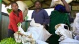 Homwe yeKubatsira veChidiki Yomutsa Mutauro