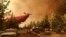 Máy bay chữa cháy rừng tại tiểu bang Oregon.