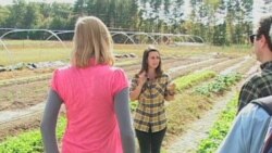 New Farmers Confront Realities of Local Food Movement