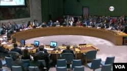 Consejo de Seguridad de Naciones Unidas. [Archivo VOA]