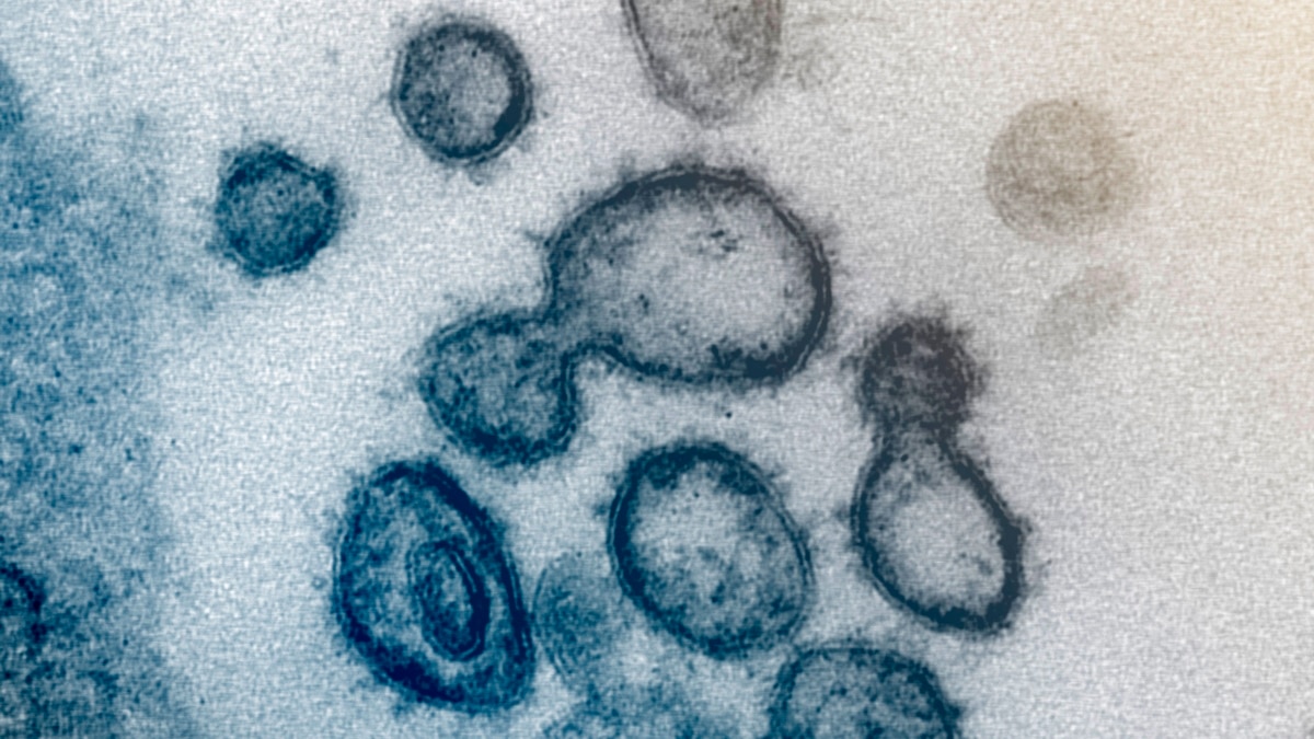 "Corona Virüsün Delta Varyantı Yüzde 40 Daha Bulaşıcı"