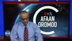 Tamsaasa Guyaadhaa Guyyaa