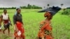 Lancement en Guinée d'un programme d'aide à la production vivrière